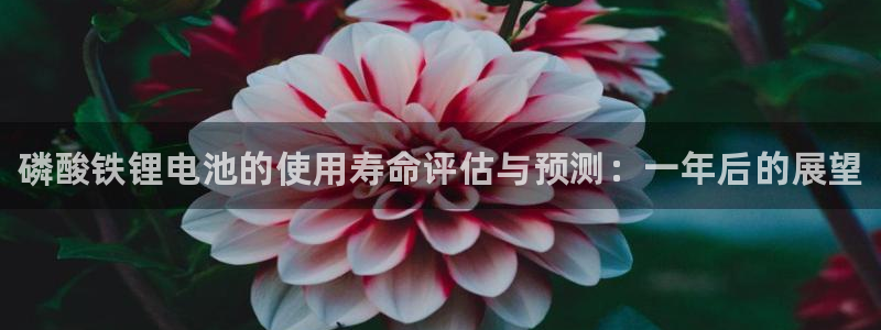 凯时官网的售后服务