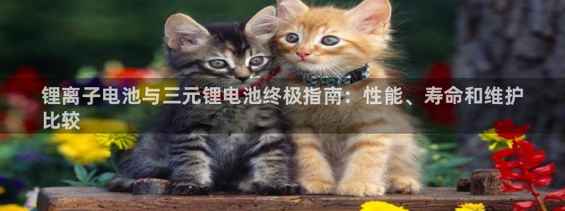 尊龙凯时平台怎么样：锂离子电池与三元锂电池终极指南：性能、寿命和维护
比较