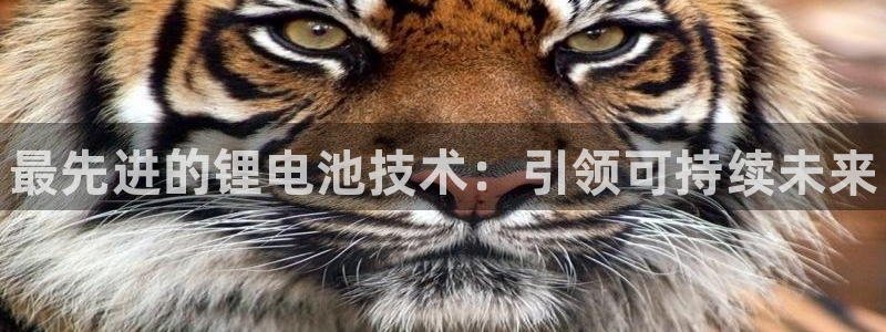 尊龙 6：最先进的锂电池技术：引领可持续未来