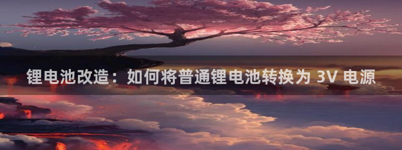 尊龙网址是选访问zd207：锂电池改造：如何将普通锂电池转换为 3V 电源