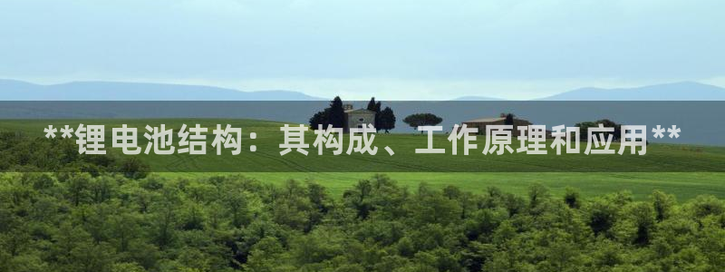 尊龙官网下载：**锂电池结构：其构成、工作原理和应用**