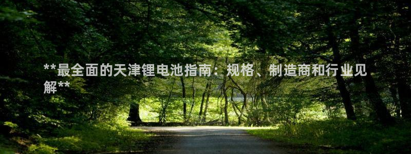 z6尊龙凯时旗：**最全面的天津锂电池指南：规格、制造商和行业见
解**