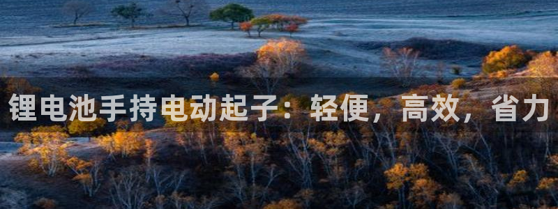 尊龙人生就是傅官网：锂电池手持电动起子：轻便，高效，省力