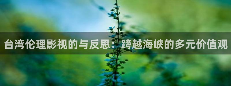 下载麻花视频完整版：台湾伦理影视的与反思：跨越海峡的多元价值观