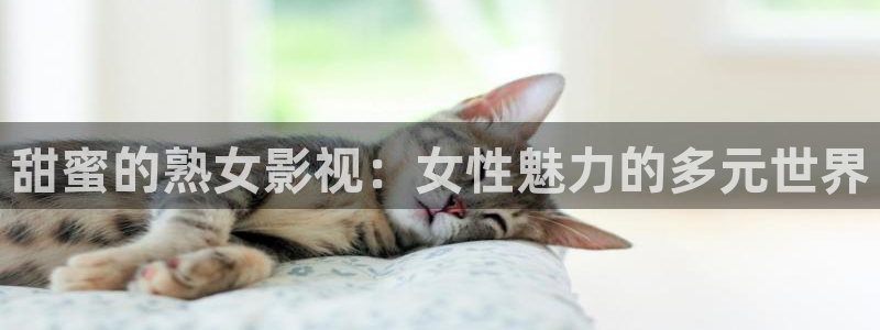 麻花影视大全高清免费追剧：甜蜜的熟女影视：女性魅力的多元世界