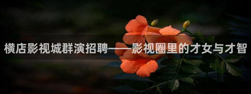 麻花影视免费观看美好生活：横店影视城群演招聘——影视圈里的才女与才智