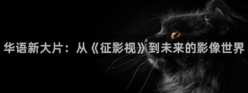 108手串缠绕麻花视频：华语新大片：从《征影视》到未来的影像世界