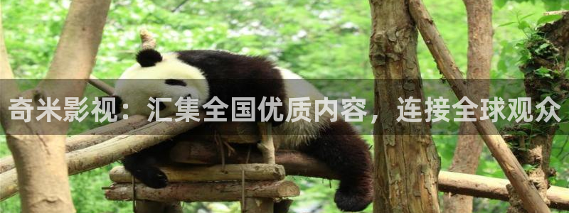 麻花视频在线：奇米影视：汇集全国优质内容，连接全球观众